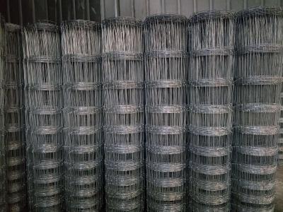 缠绕牛栏网 
